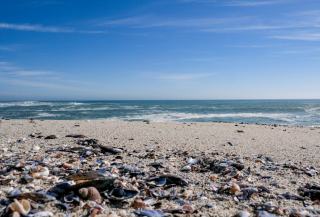 Balayette WC Sam : porte-goupillon hôtelier design