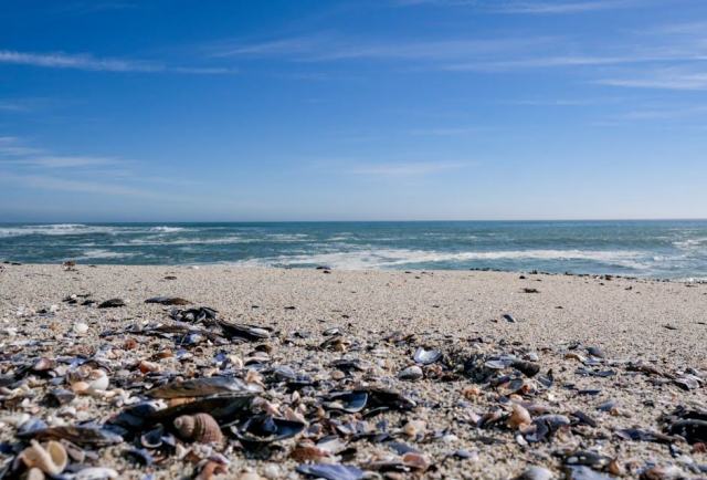 Balayette WC Sam : porte-goupillon hôtelier design et élégant