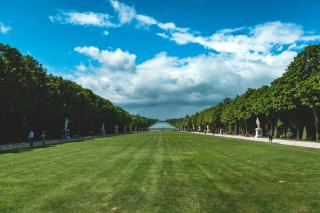 Chaise et fauteuil Versailles : mobilier hôtelier pour hôteliers