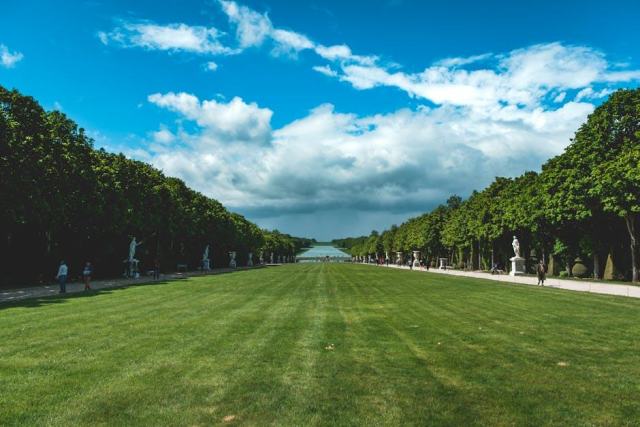 Chaise et fauteuil Versailles : classique élégant pour hôtel Chaise et fauteuil Versailles : classique élégant pour hôtel