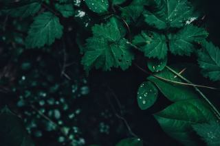 Suspension Bounde Lucide : éclairage hôtelier design