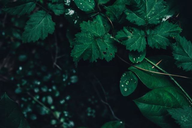 Suspension Bounde Lucide : luminaire hôtelier contemporain