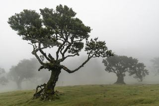 Lampe Factory Lucide : suspension luminaires hôtel