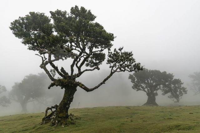 Suspension Factory Lucide : luminaire industriel pour hôtel Suspension Factory Lucide : luminaire industriel pour hôtel