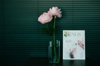 Branche d'arbre déco : vase White Wash décoration pour hôteliers