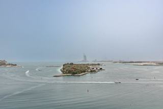 Tapis Palm Night hôtel : décoration intérieure chic